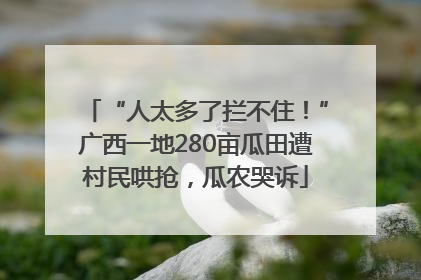 “人太多了拦不住！”广西一地280亩瓜田遭村民哄抢，瓜农哭诉